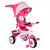4-in-1 Detachable Baby Stroller Tricycle with Round Canopy-Pink-Little Riderz